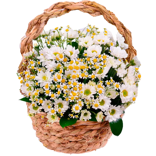 Композиция "Лучик"